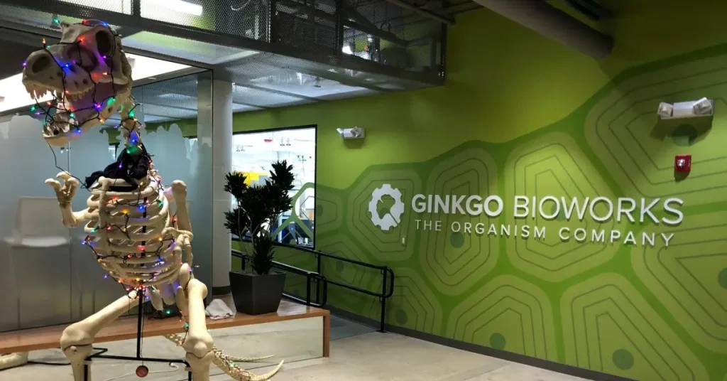 Ginkgo Bioworks Stock