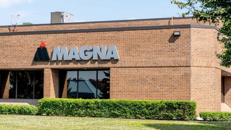 Magna Stock