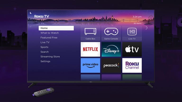 Roku Stock