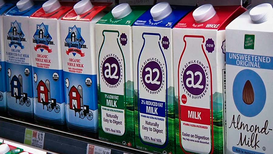 a2 Milk Stock