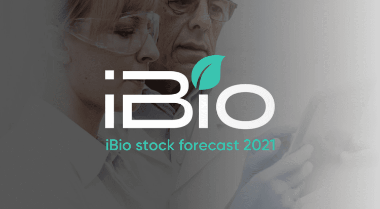 iBio Stock