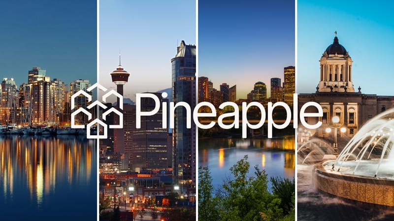 Pineapple Financial Inc Stock
