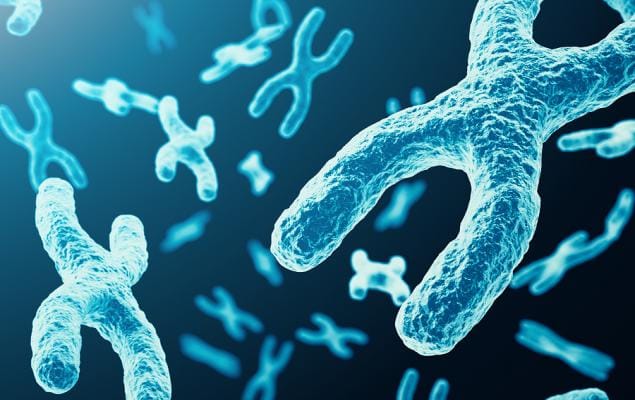 Adma Biologics Inc Stock