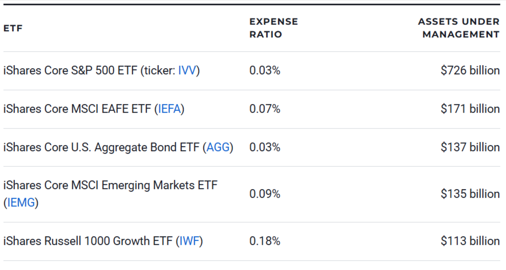 5 Best BlackRock ETFs to Buy Now